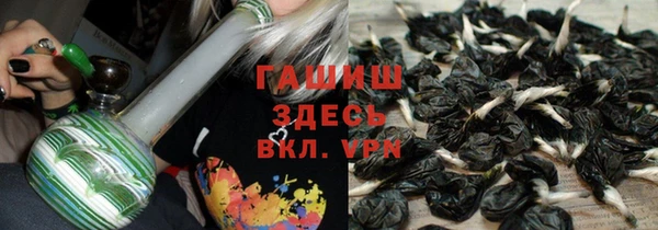 гидра Елабуга
