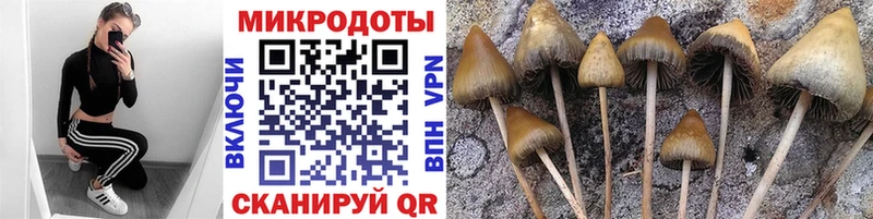 Купить где  Исилькуль  Галлюциногенные грибы GOLDEN TEACHER 